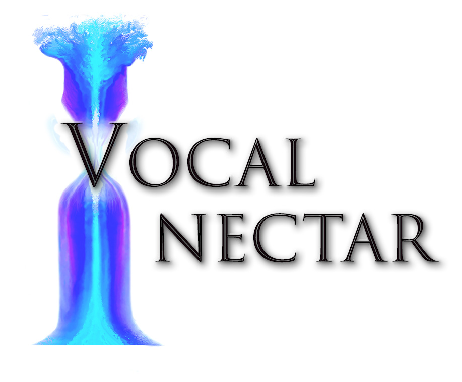 VocalNectar logo